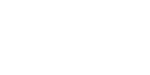 Social Dragonfly